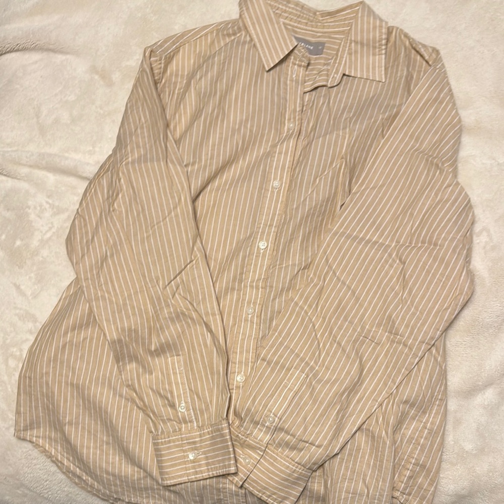 Everlane Must have Shirt in Silky Cotton